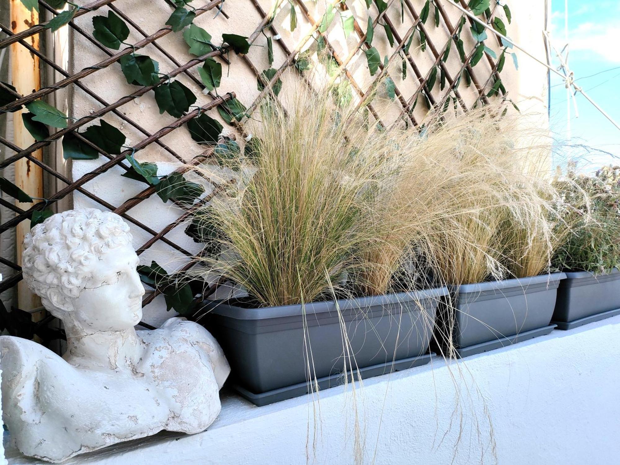 Lycabettus Sunshine Loft Apartment